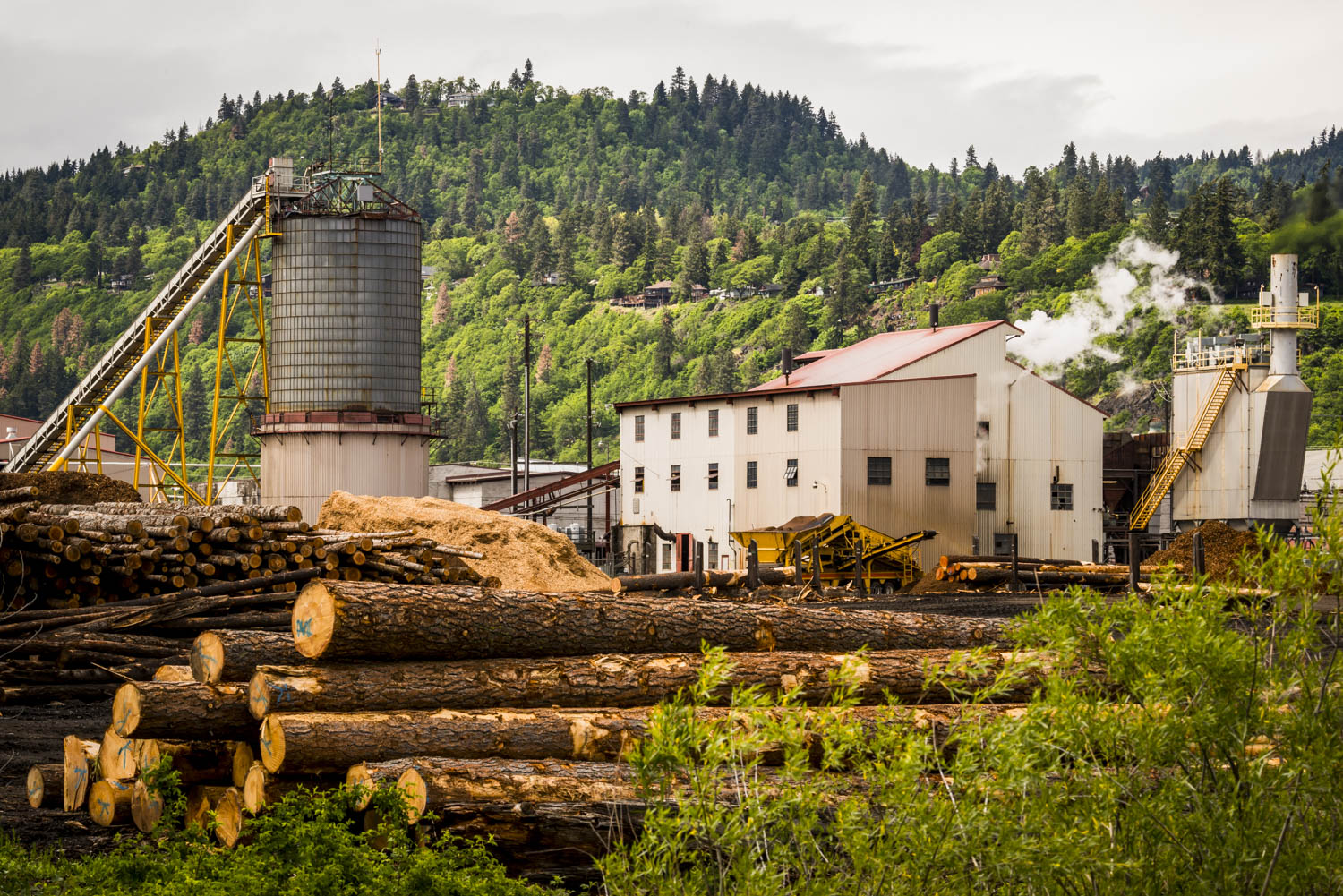 USA: Washington, Columbia River Basin, Bingen, sawmill (SDS Lumber Co.)