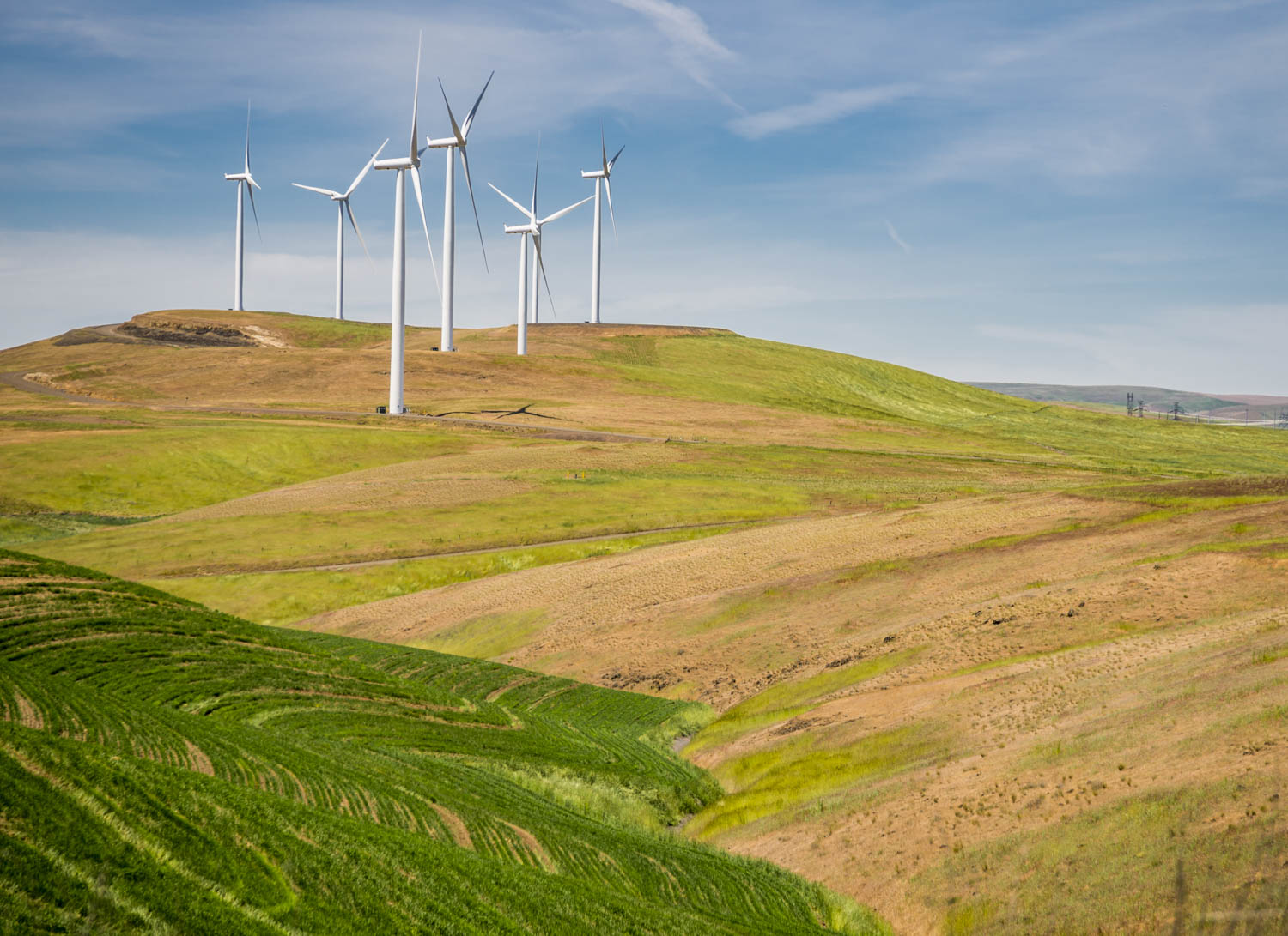 USA: Washington, Palouse, Columbia County, No Water No Life Snake River Expedition 2 of 2015, wind turbines near Dodge Junction