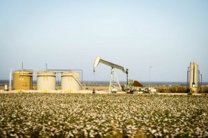 USA: Texas, Martin County, pump jack in cotton field