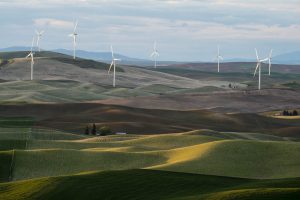 USA:  Washington,  Columbia River Basin, Snake River Basin, Steptoe Butte views of fields and a wind turbine field in the Palouse Valley