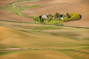 USA:  Washington,  Columbia River Basin, Snake River Basin, Steptoe Butte views of fields in the Palouse Valley