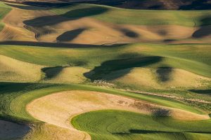 USA:  Washington,  Columbia River Basin, Snake River Basin, Steptoe Butte views of loess-soil no-till fields in the Palouse Valley