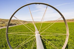 USA:  Washington, Columbia and Snake River Basins, Washtecna Coulee in the Palouse Valley, Miller Road, wheel for pivot irrigation