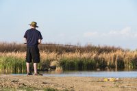 USA: California, Central Valley, San Joaquin River Valley, Mendota, man fishing on edge of Mendota Pool