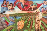 USA: California, Knights Landing, mural on building showing importance of agriculture