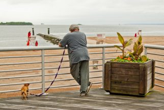 USA: New York, Staten Island, on Raritan Bay, Raritan River Estuary, old man with his dog looking out to sea