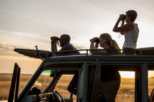 East Africa, Kenya, Maasai (aka Masai) Mara National Reserve, Mara River Basin, Mara Conservancy, Mara Triangle,  Rekero Camp tourists using binoculars to gamewatch from vehicle