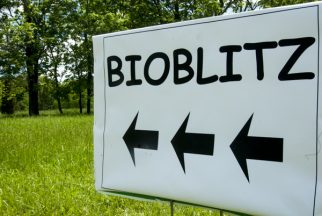USA:  New Jersey, Upper Raritan River Basin, Upper Raritan Watershed Association (URWA) BioBlitz on May 21, 2011, sign