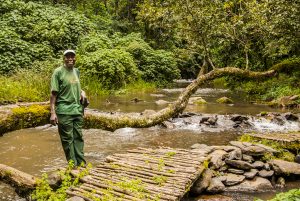Kenya:  No Water No Life Mara River Expedition, Mau Forest, Finlays Fishing Camp, Simon Maturi on bridge