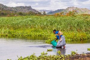 Tanzania:  No Water No Life Mara River Expedition, Kirumi, Mara River, Masurua Swamp, woman collecting water amidst water hyacinth, marsh grass and papyrus