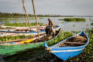 Tanzania:  No Water No Life Mara River Expedition, Musoma, Lake Victoria, Nyarusurya Beach Management Unit and fish market, fishing boats pulled up amidst water hyacinth