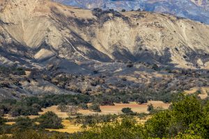 USA California, No Water No Life CA Drought Expedition # 5, Santa Ynez Valley, view of Los Padres National Forest from Paradise Rod, scars of August 2016 Rey Wildfire
