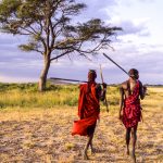 Kenya: Amboseli, two Maasai (aka Masai) Morans walking with spears at sunset.