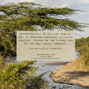 East Africa, Kenya, Maasai Mara National Reserve, Mara Conservancy, Mara Triangle, Mara River Basin, the Mara River between Mara Bridge crossing and Serena