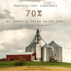 USA: Iowa, Upper Mississippi River Basin, Monticello, farm grain silos and barns,  rural