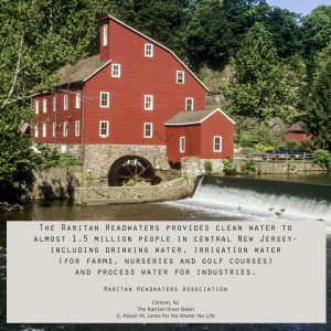 New Jersey: Upper Raritan Basin, Hunterdon County, Tewksbury Township,  Clinton, the Old Red Mill on South Branch of Raritan River with Canada Geese ('Branta canadensis') in water,