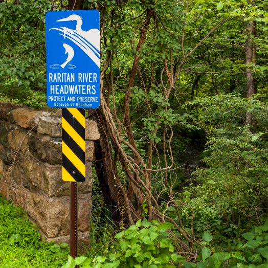 Fishes of the Upper Raritan - Raritan Headwaters